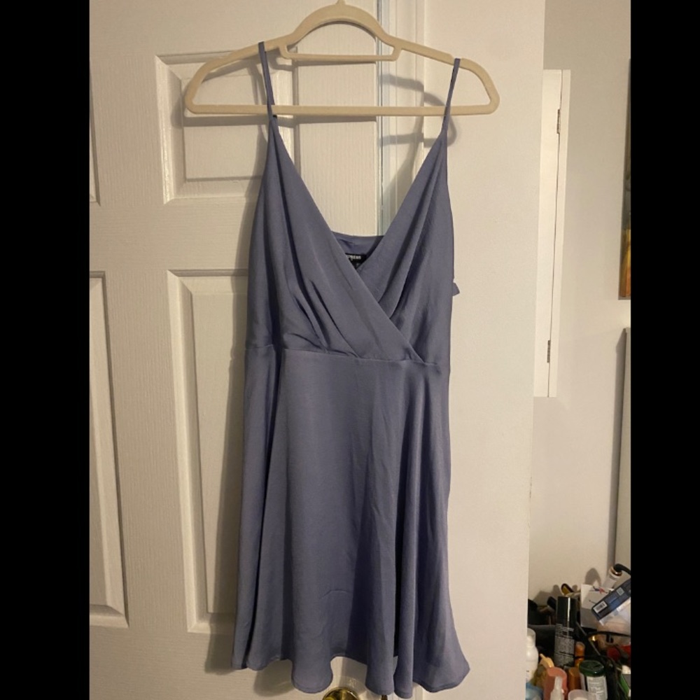 NWT Express Skater Dress